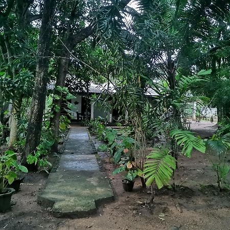 Sigiri Mango Garden Eco Resort Sigiriya Exterior photo