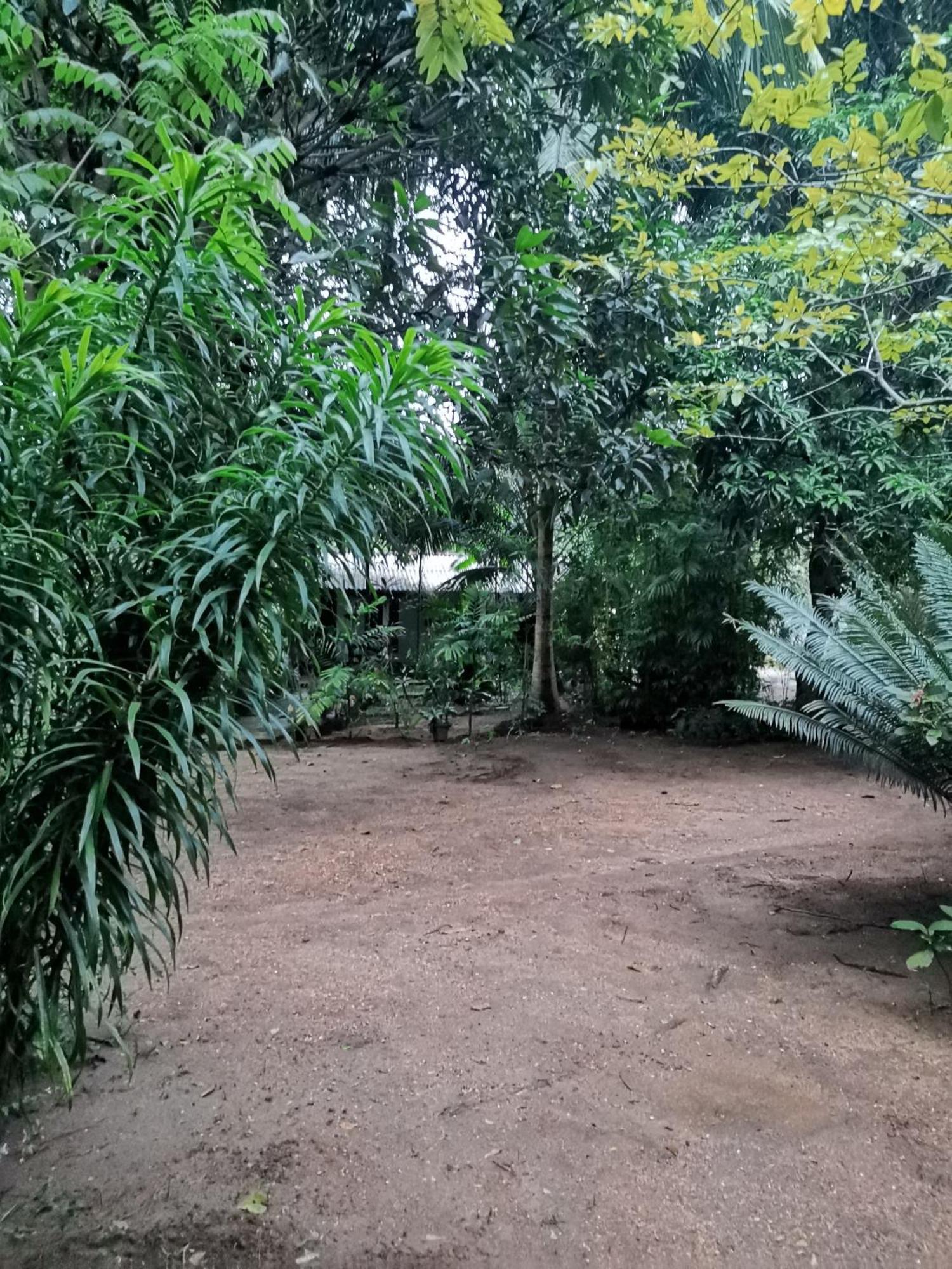 Sigiri Mango Garden Eco Resort Sigiriya Exterior photo