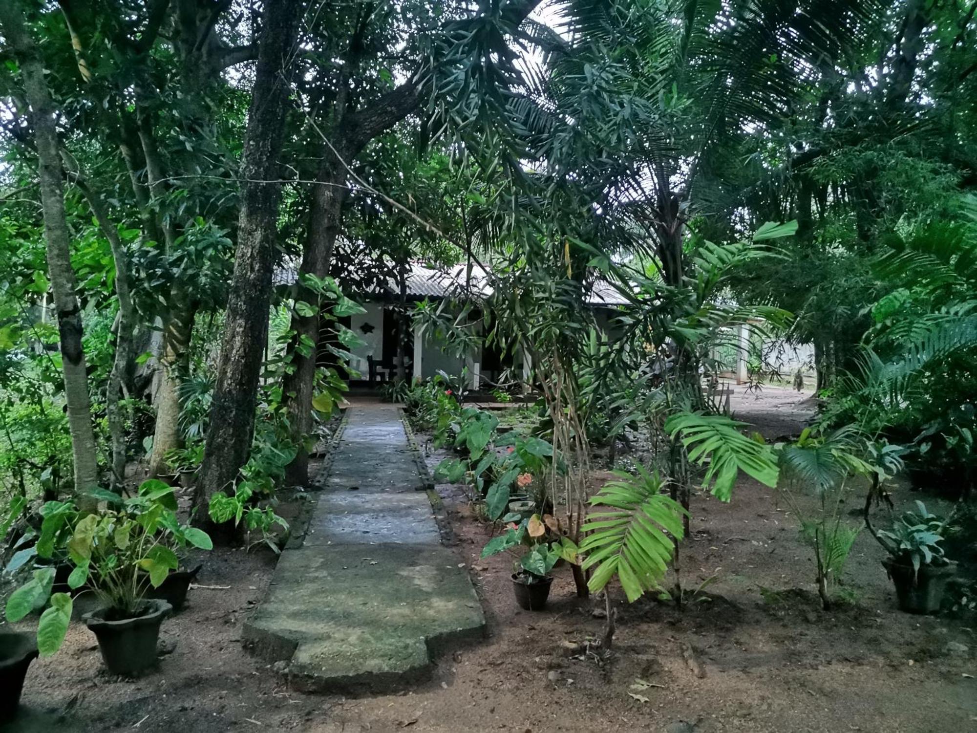 Sigiri Mango Garden Eco Resort Sigiriya Exterior photo