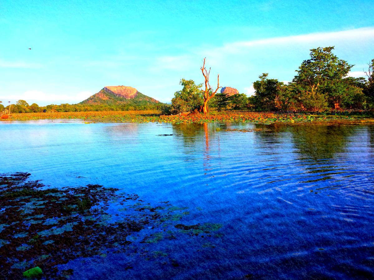 Sigiri Mango Garden Eco Resort Sigiriya Exterior photo